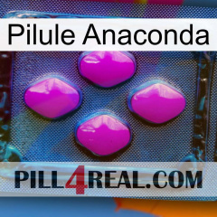 Anaconda Pill 04